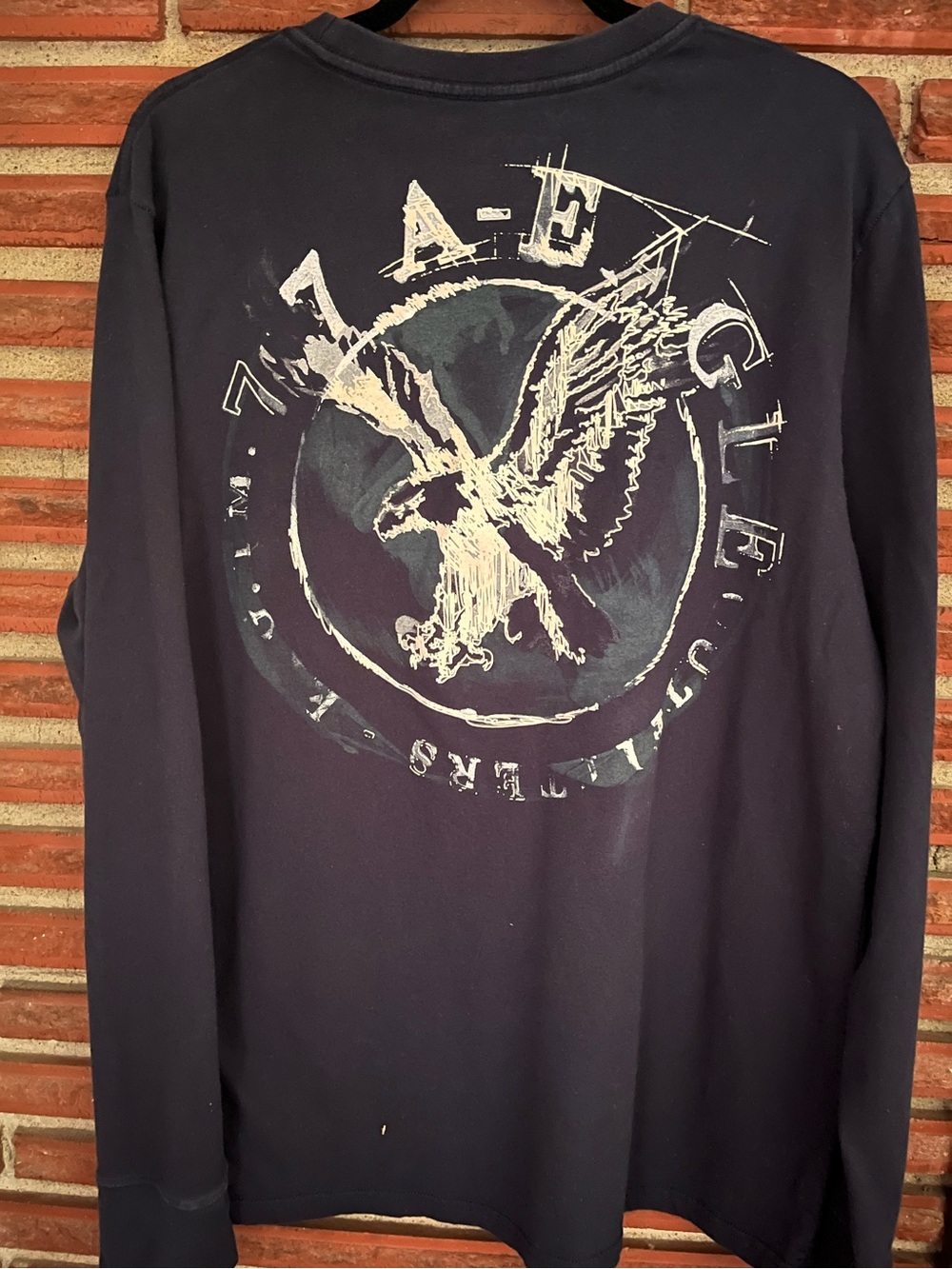 American Eagle Outfitters Navy Long-Sleeve Shirt with Eagle Graphic